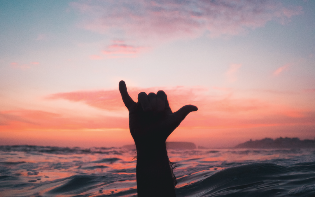 Shaka Defined: “Fear Not”